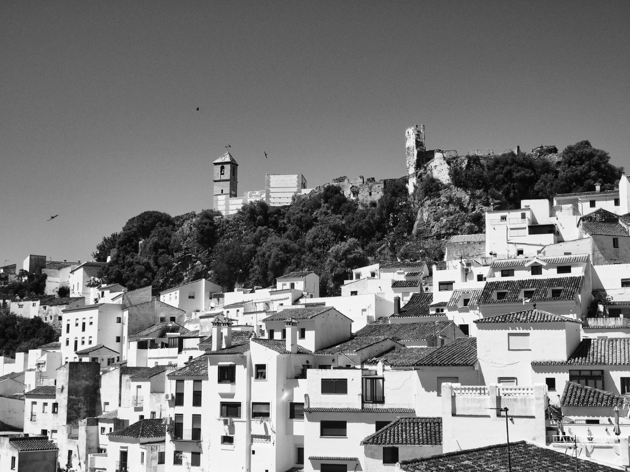 Casares hilltop village white houses castle ruins andalusia