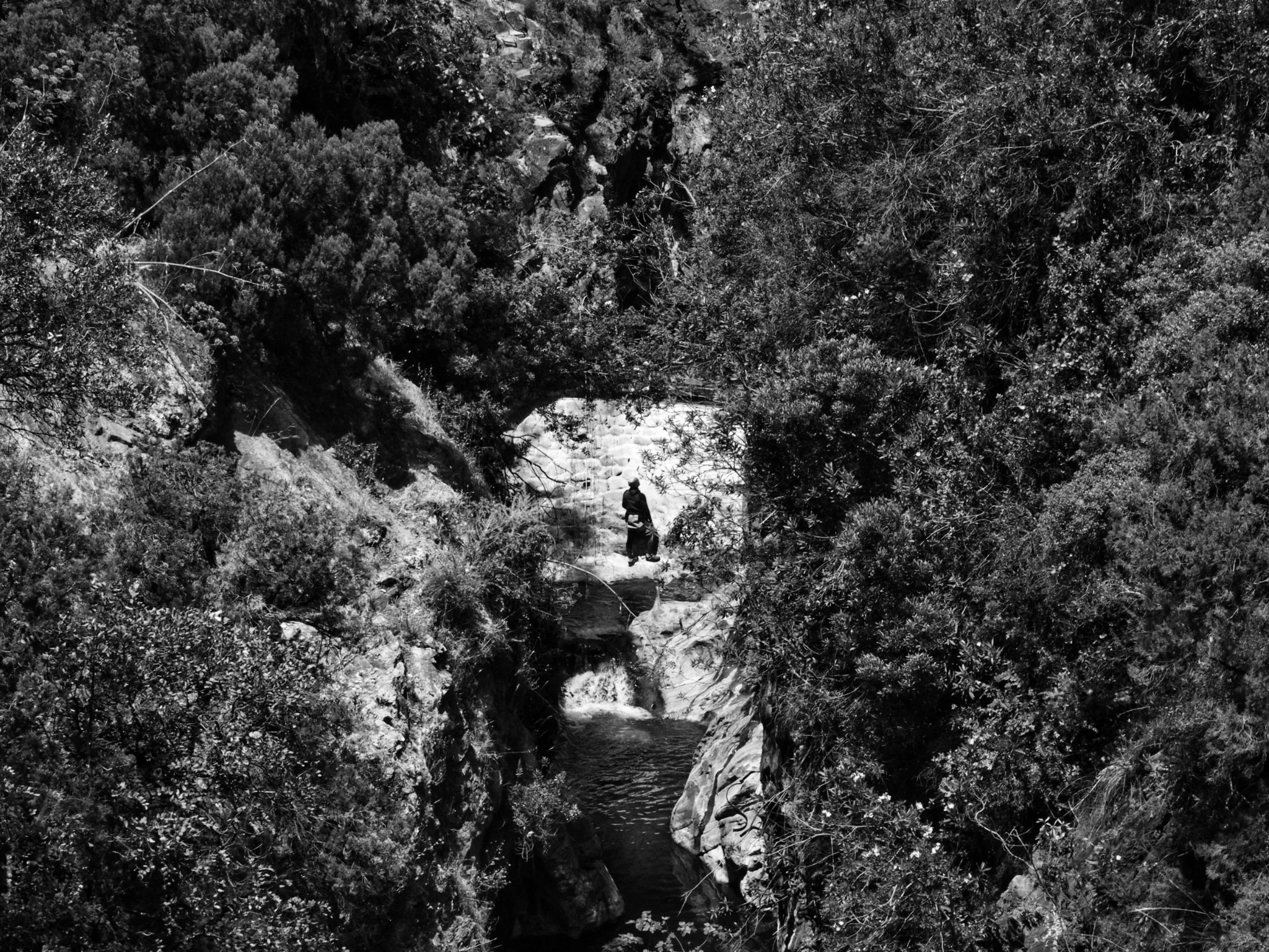 Gorge ancient bridge solitary figure vegetation andalusia