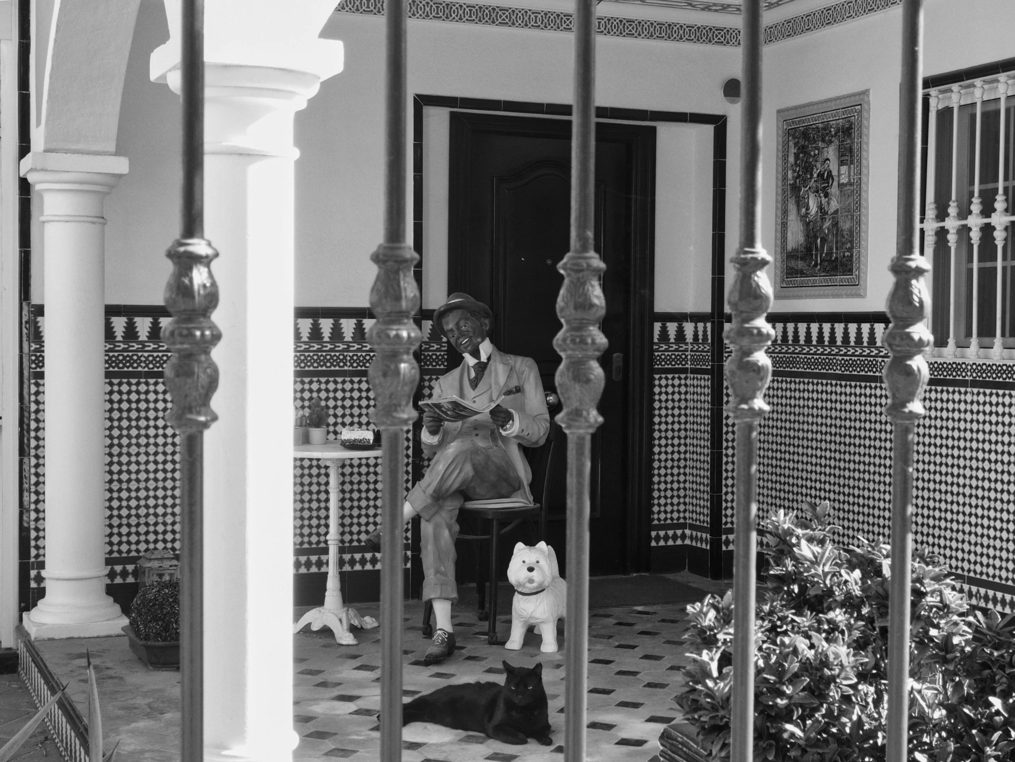 Andalusia street photography cat patio