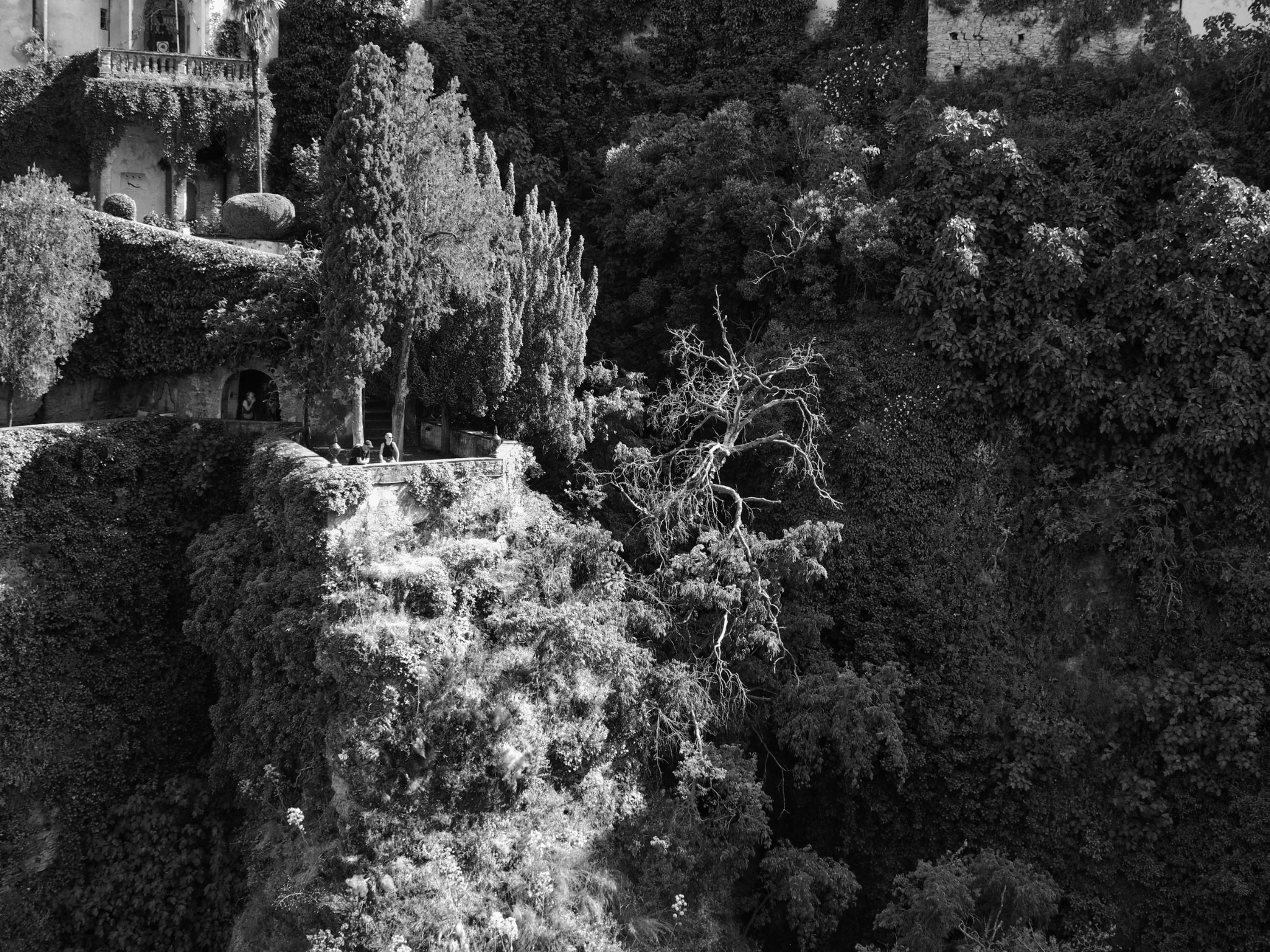 Ronda gorge cliff face vegetation ivy building andalusia