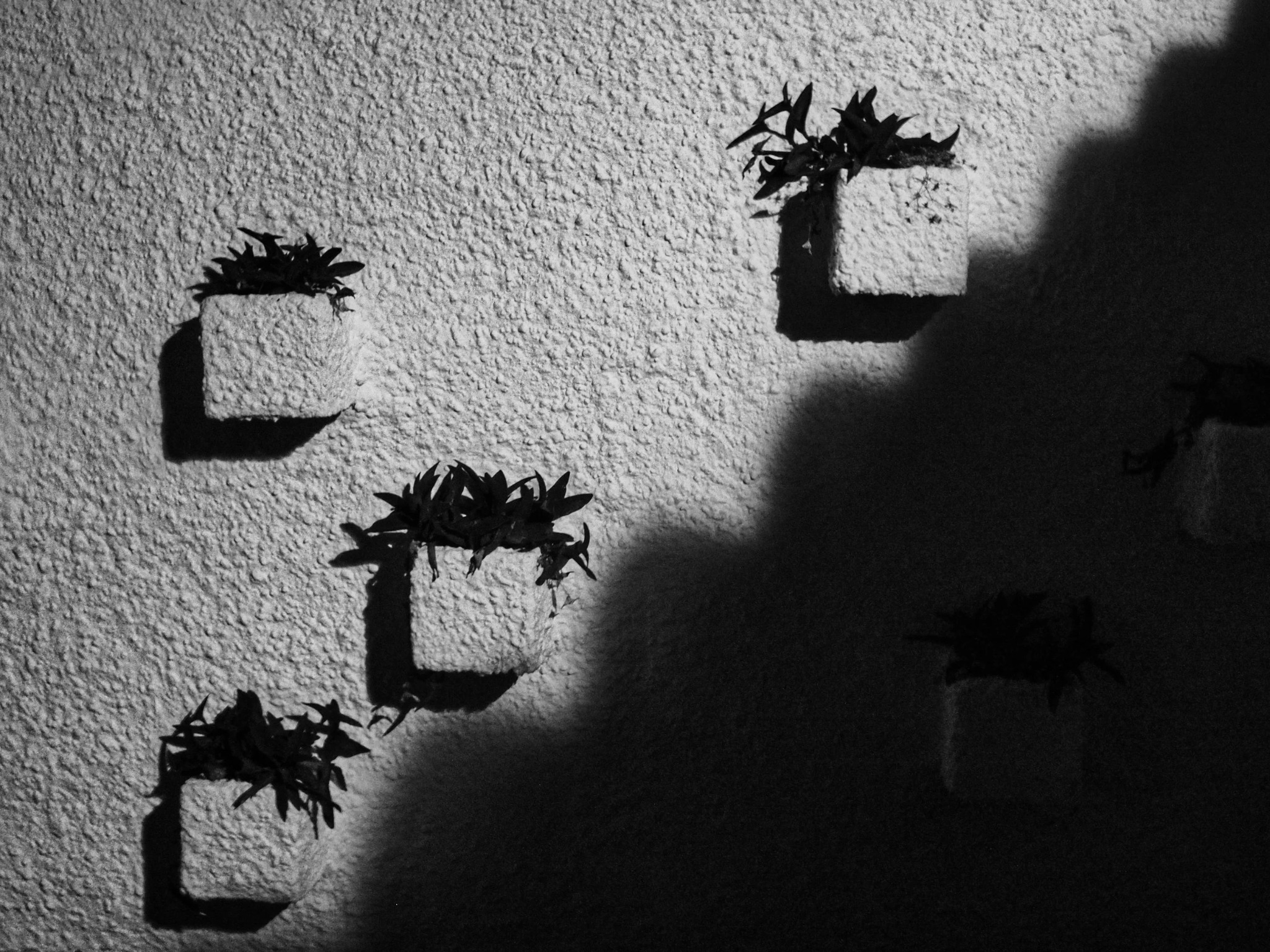 Wall mounted plant pots staircase shadow white wall abstract