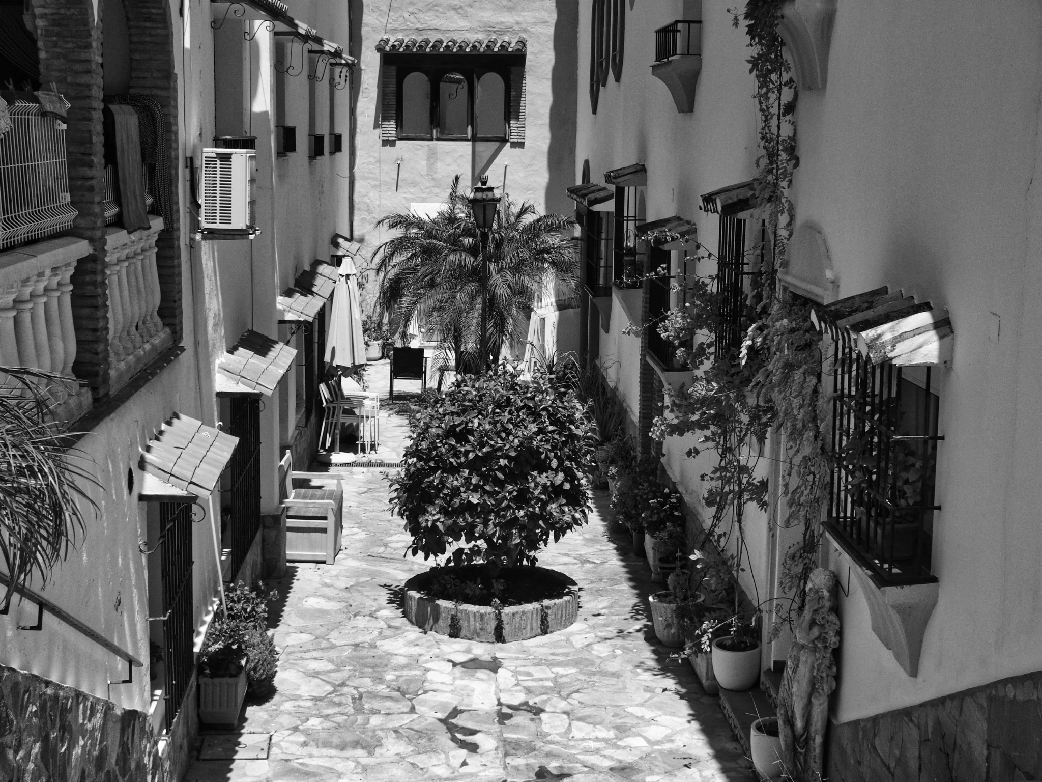 Andalusia courtyard alley palm tree clipped shrub moorish window