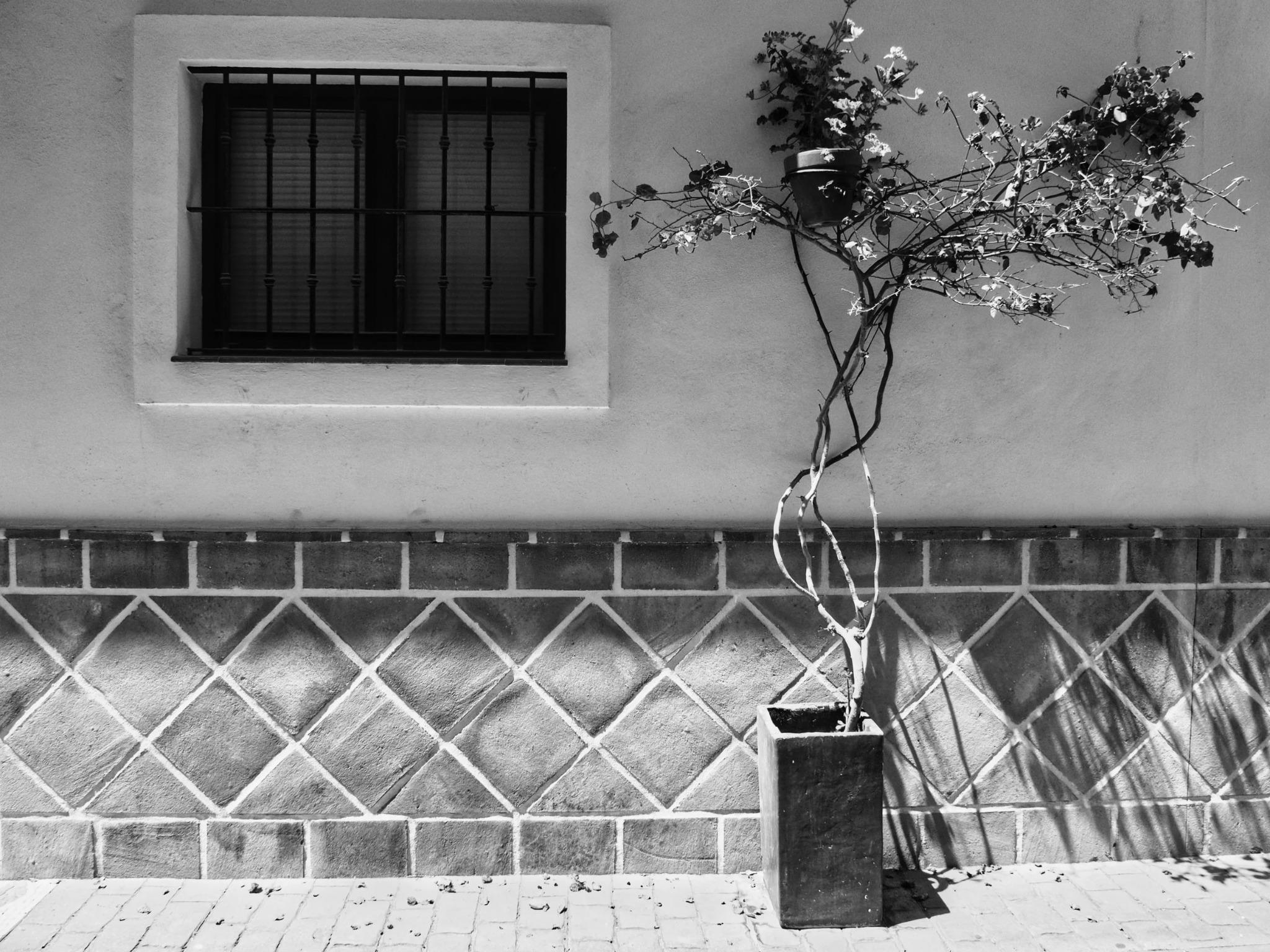 Bougainvillea barred window white wall Estepona Old Town spain