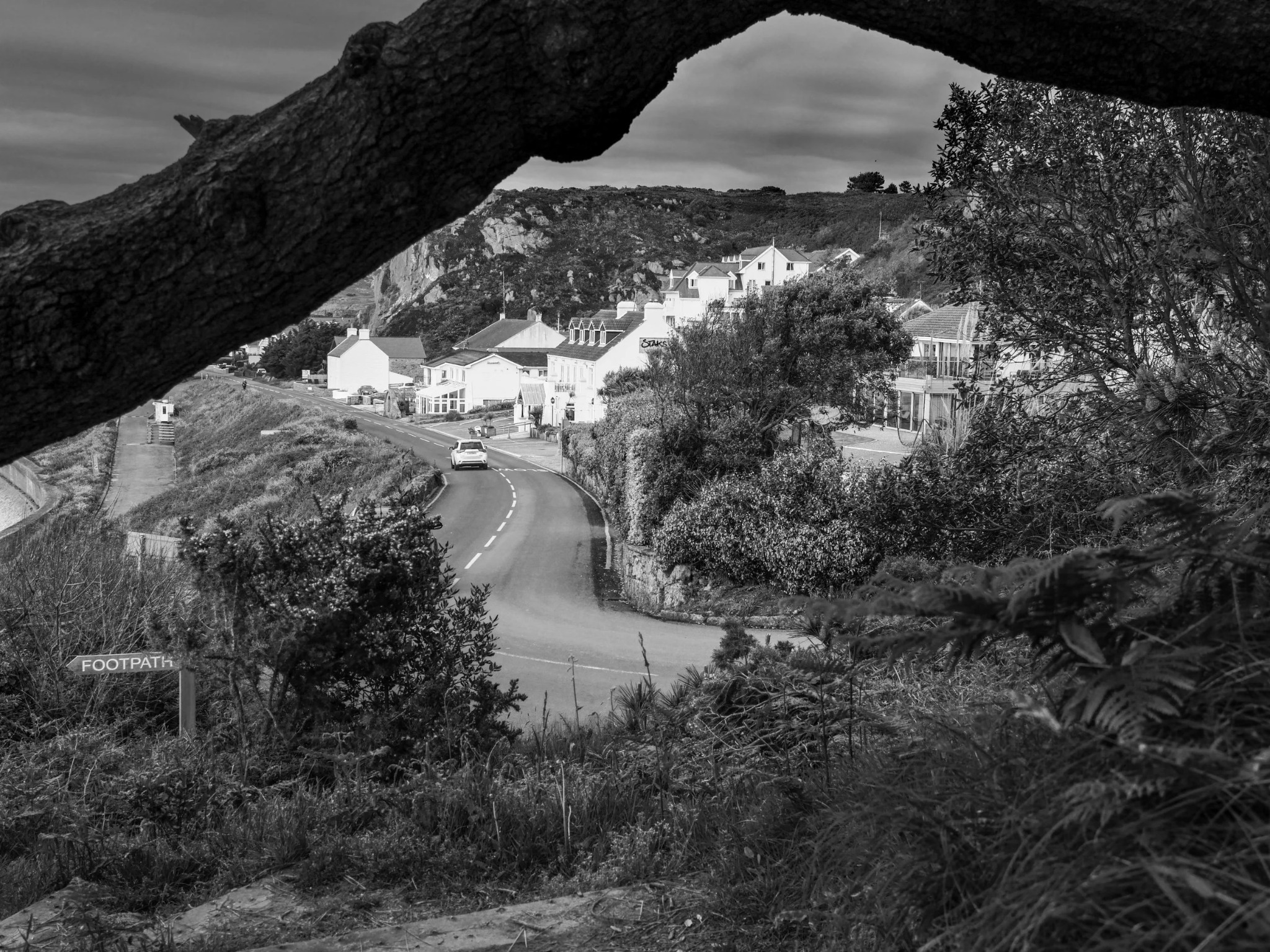 Jersey village framed by trees