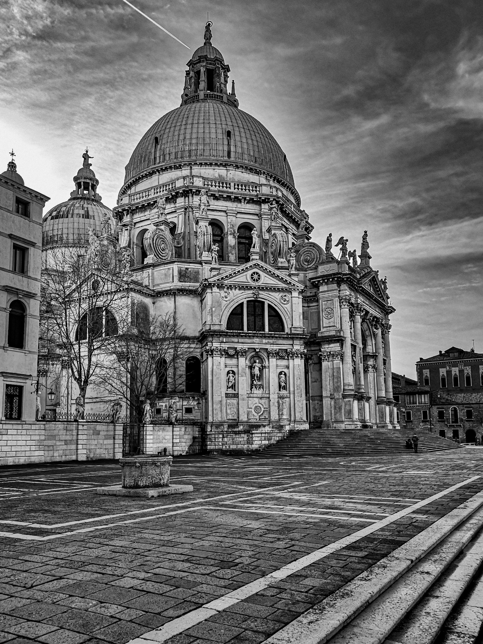 Venice santa maria della salute black and white