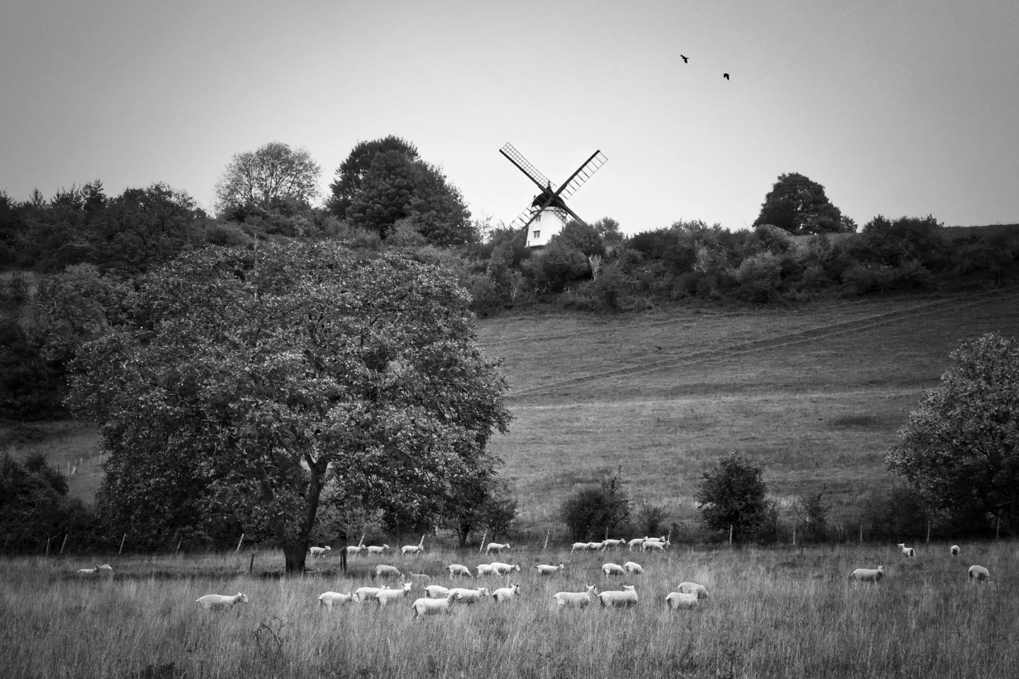 Black and white countryside photograph by Mark Weekes
