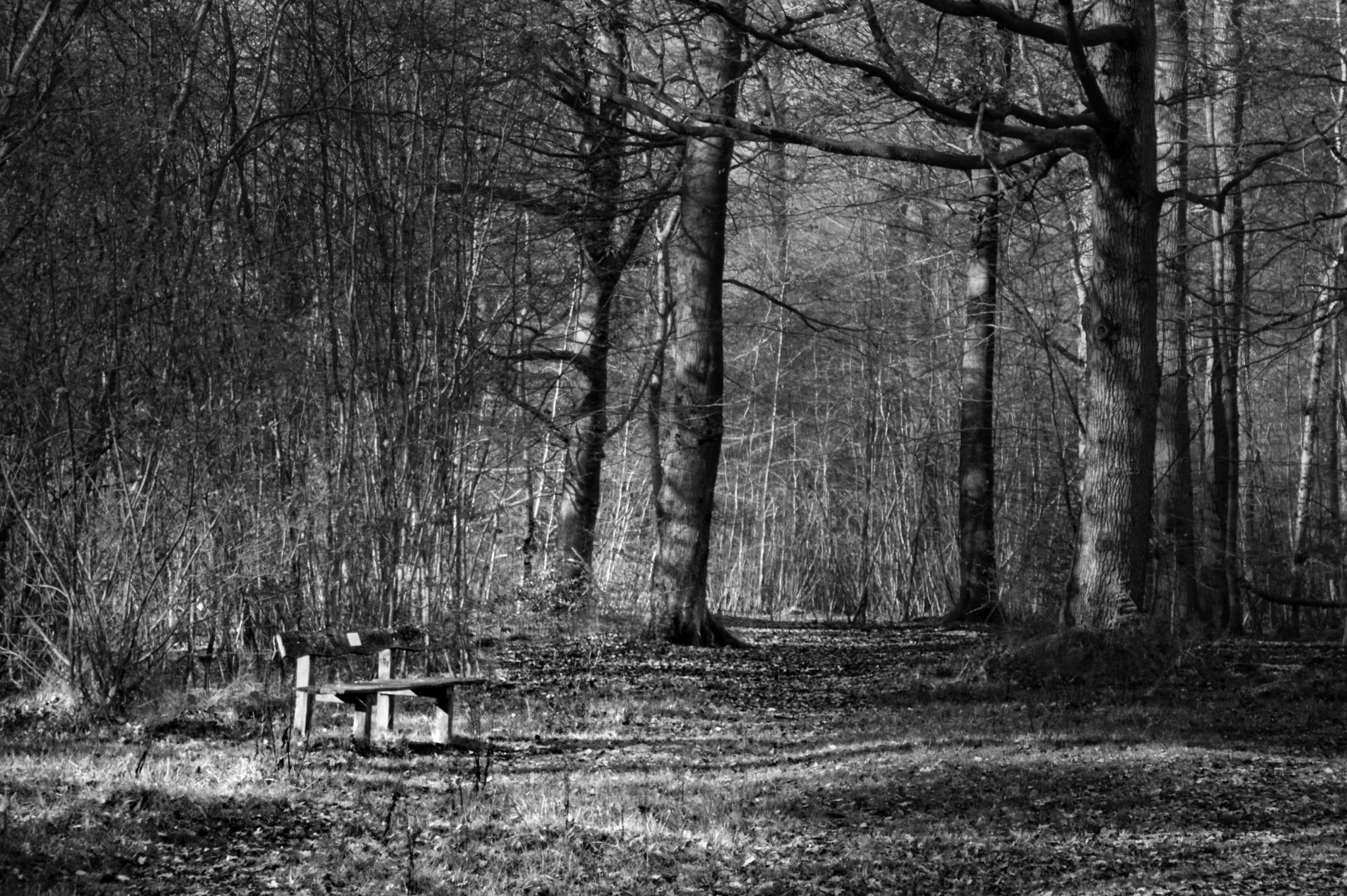 Black and white countryside photograph by Mark Weekes