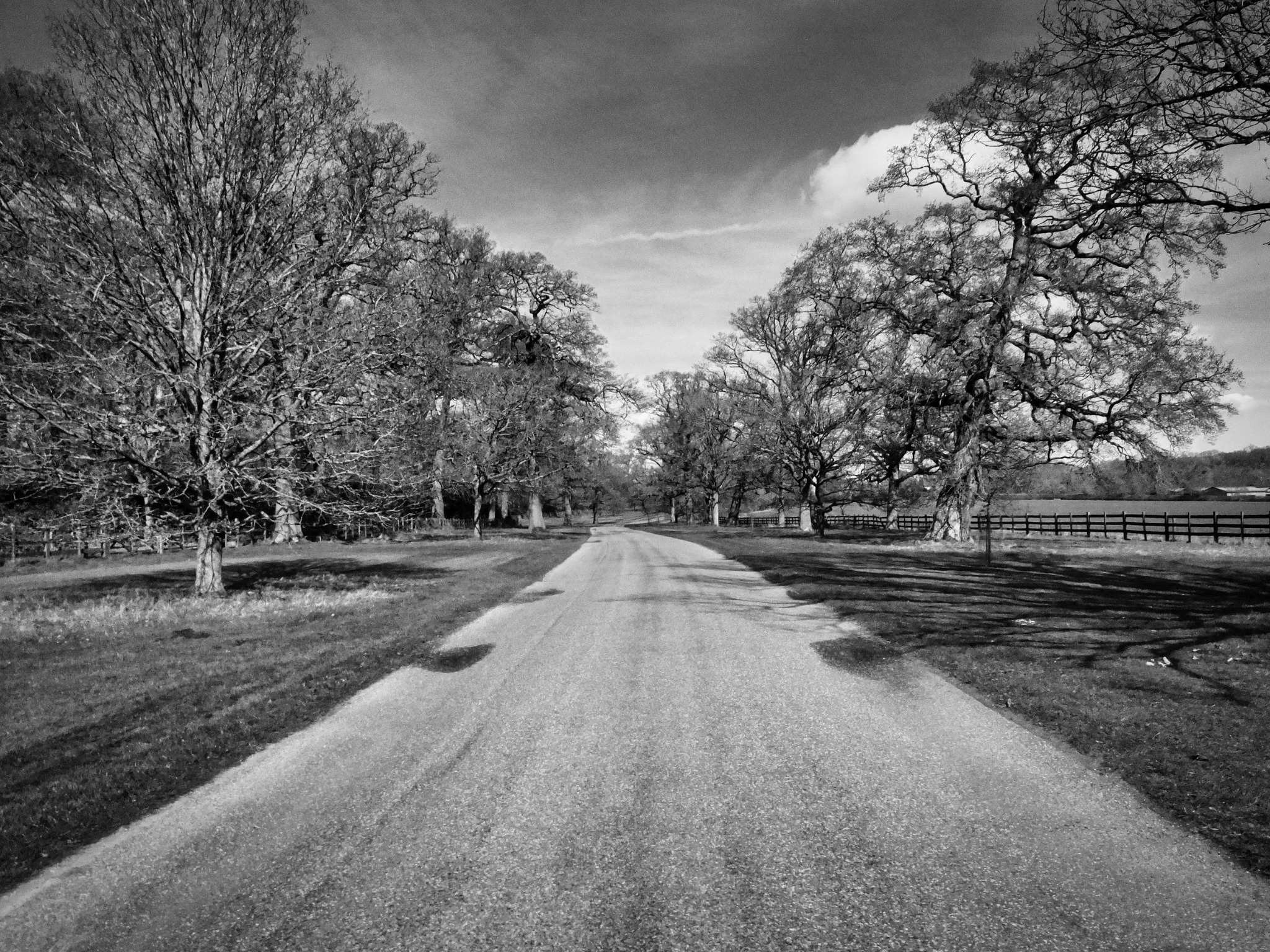 Black and white countryside photograph by Mark Weekes