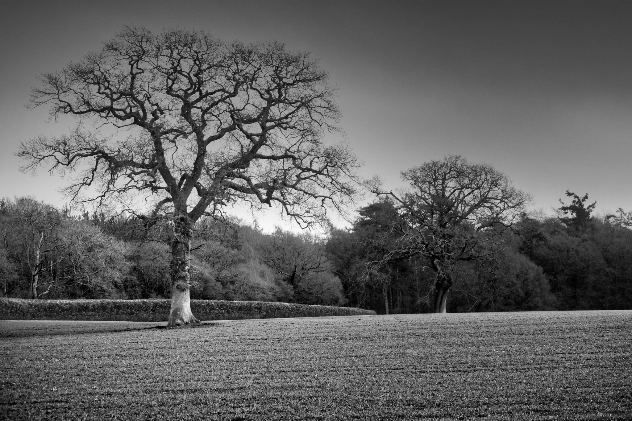 Black and white countryside photograph by Mark Weekes