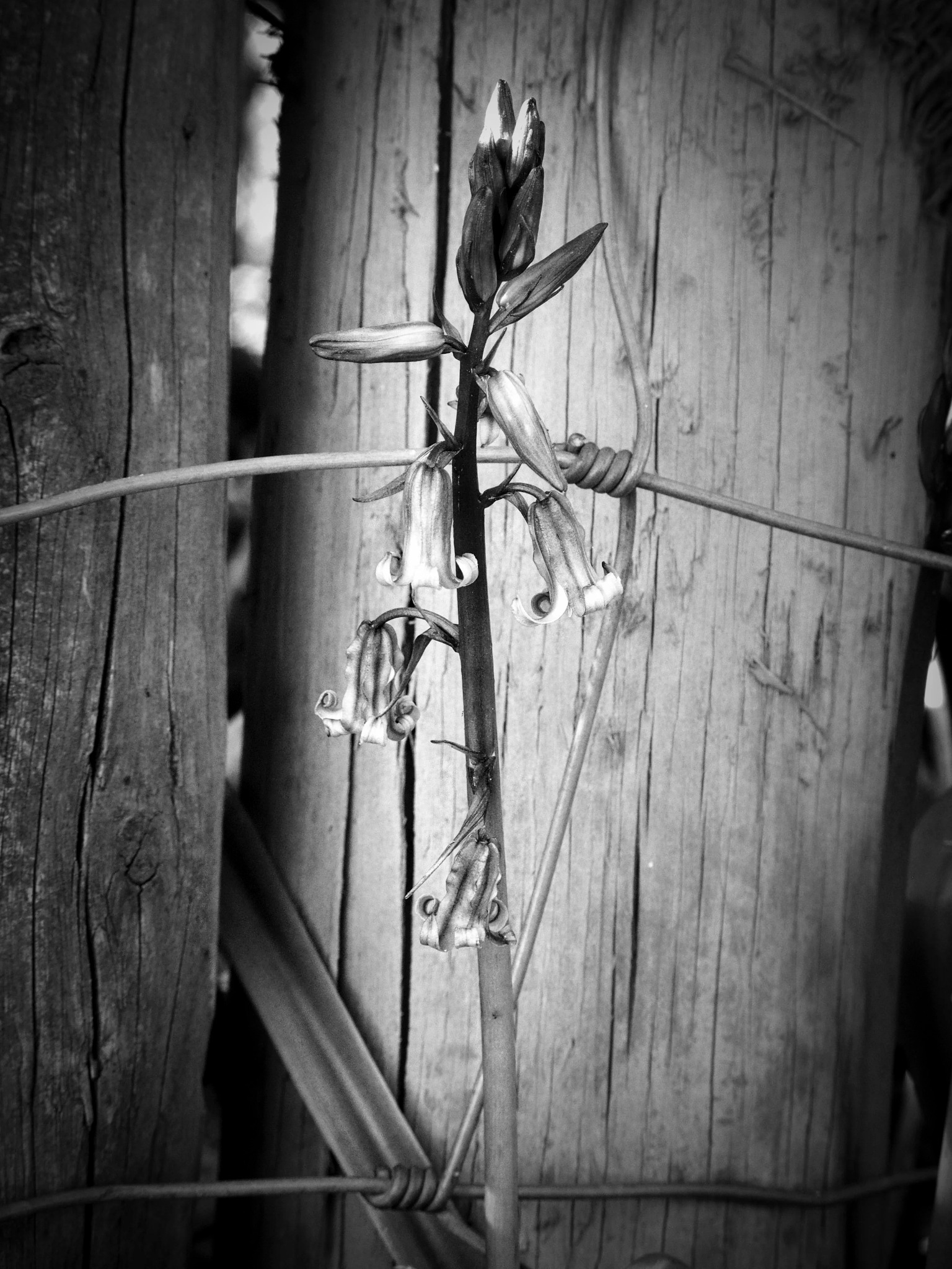 Black and white countryside photograph by Mark Weekes