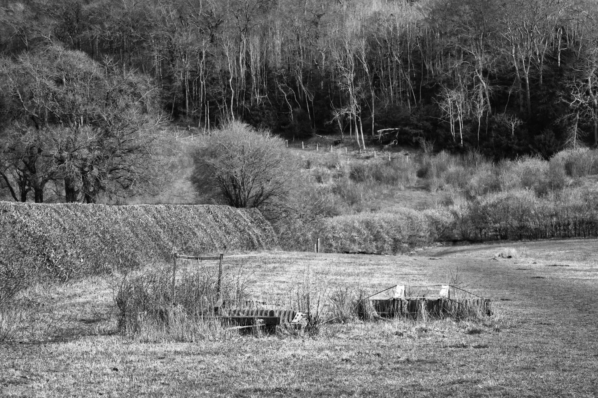 Black and white countryside photograph by Mark Weekes