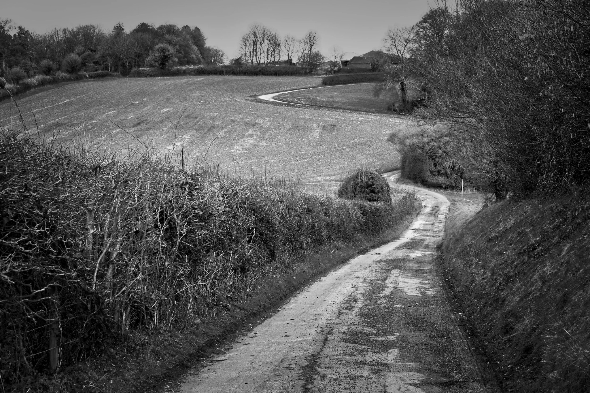 Black and white countryside photograph by Mark Weekes