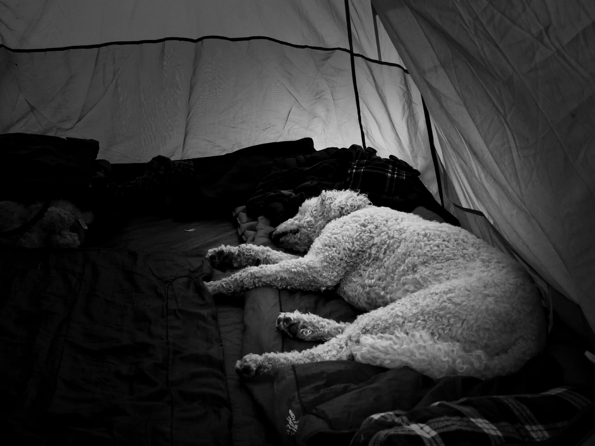 Black and white countryside photograph by Mark Weekes