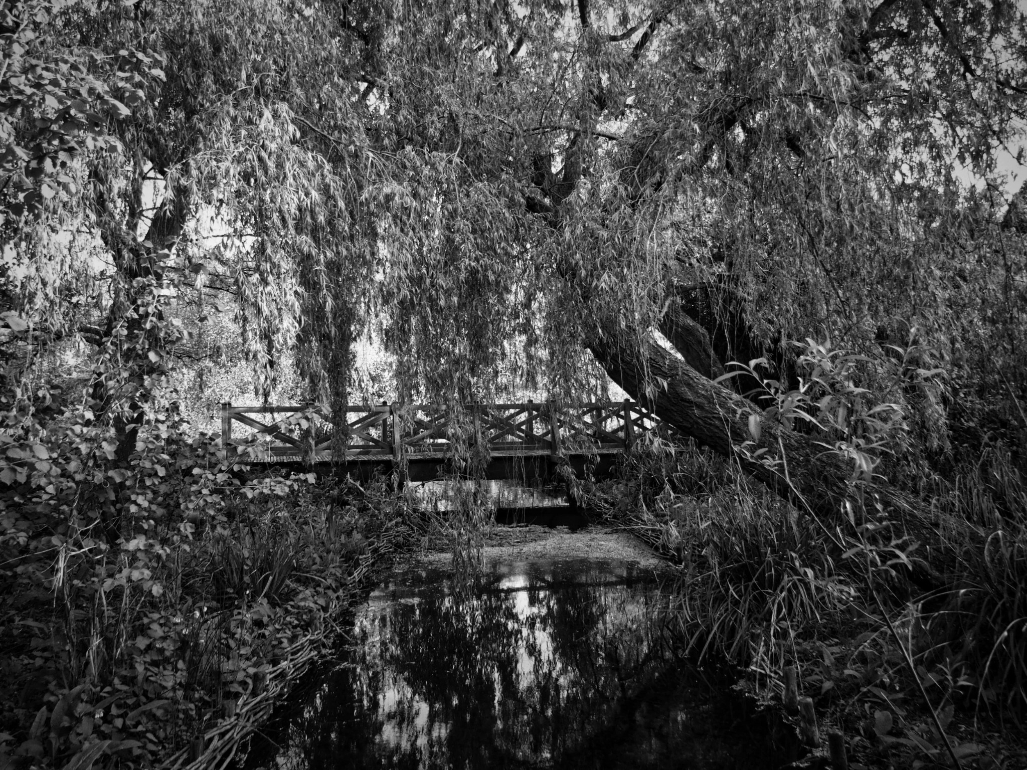 Black and white countryside photograph by Mark Weekes