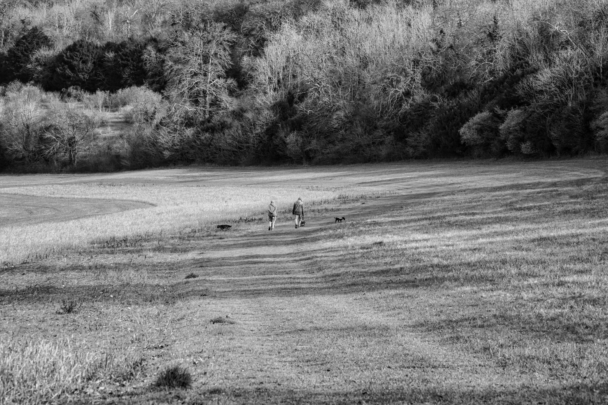 Black and white countryside photograph by Mark Weekes