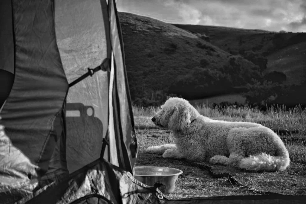 Black and white countryside photograph by Mark Weekes