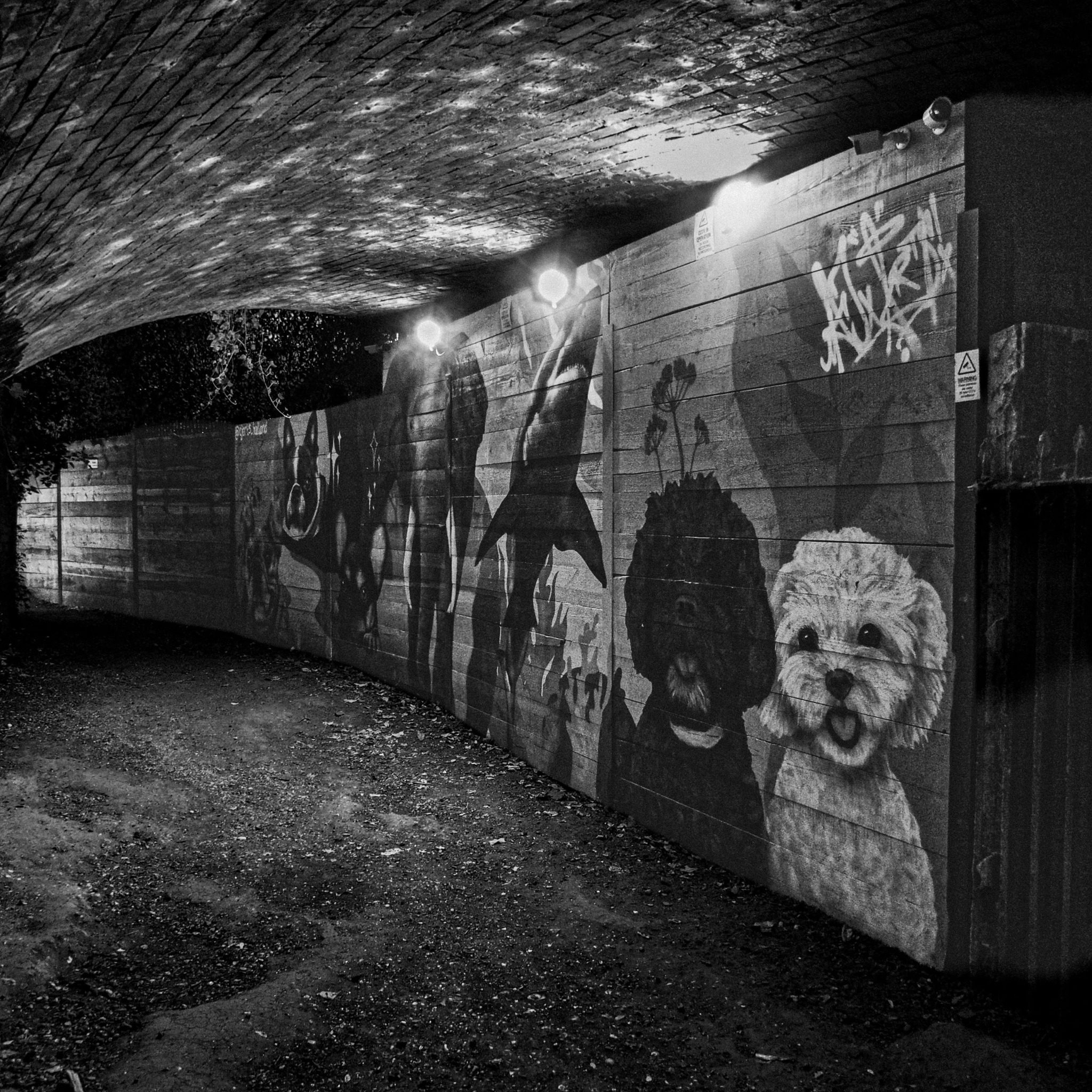 Before We Wake photograph 4