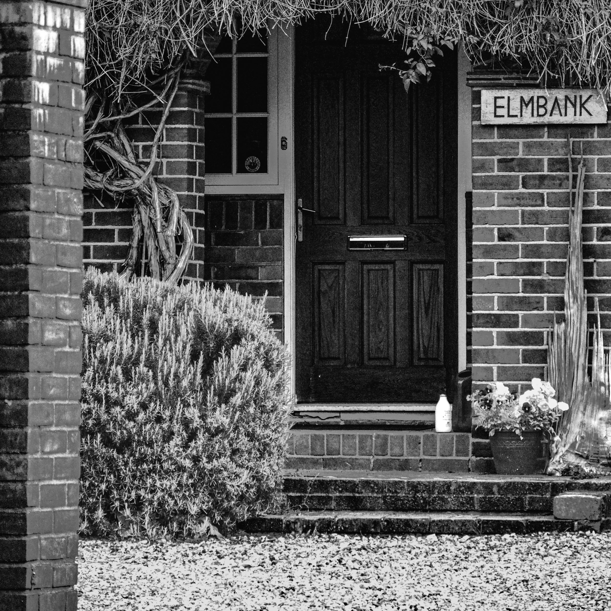 Before We Wake photograph 8